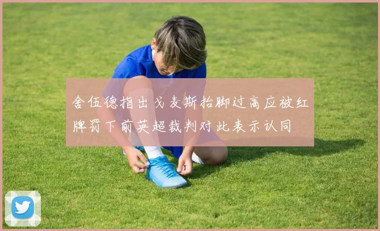 舍伍德指出戈麦斯抬脚过高应被红牌罚下前英超裁判对此表示认同