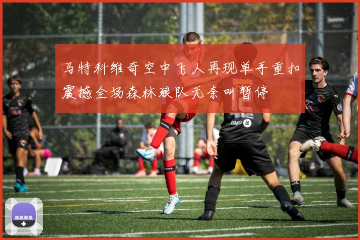 马特科维奇空中飞人再现单手重扣震撼全场森林狼队无奈叫暂停