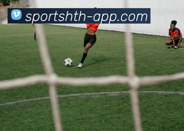 华体会体育APP 封面图